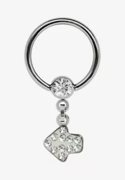 Adelia´s 316L SURGICAL STEEL GENITAL PIERCING - Sonstige Accessoires - Klar 9 Adelia´s 316L SURGICAL STEEL GENITAL PIERCING - Sonstige Accessoires - Klar -Hosen Elegante Boutique 11bc10d5ad57408a95aca152fda54166