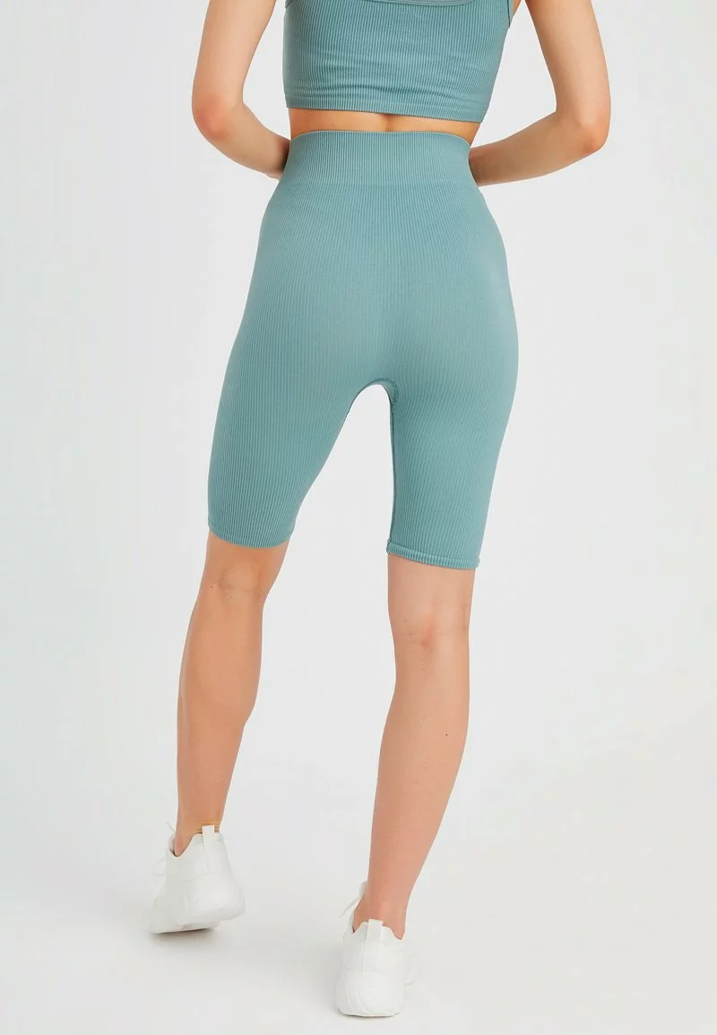 Leif Nelson SEAMLESS FITNESS - Shorts - Grün 2 Leif Nelson SEAMLESS FITNESS - Shorts - Grün - Image 2