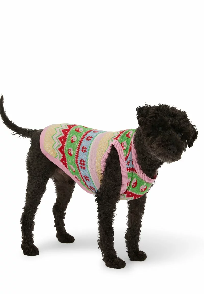 COTTON ON CLUB DOG XMAS - Tierbedarf - Multi 5 COTTON ON CLUB DOG XMAS - Tierbedarf - Multi - Image 5