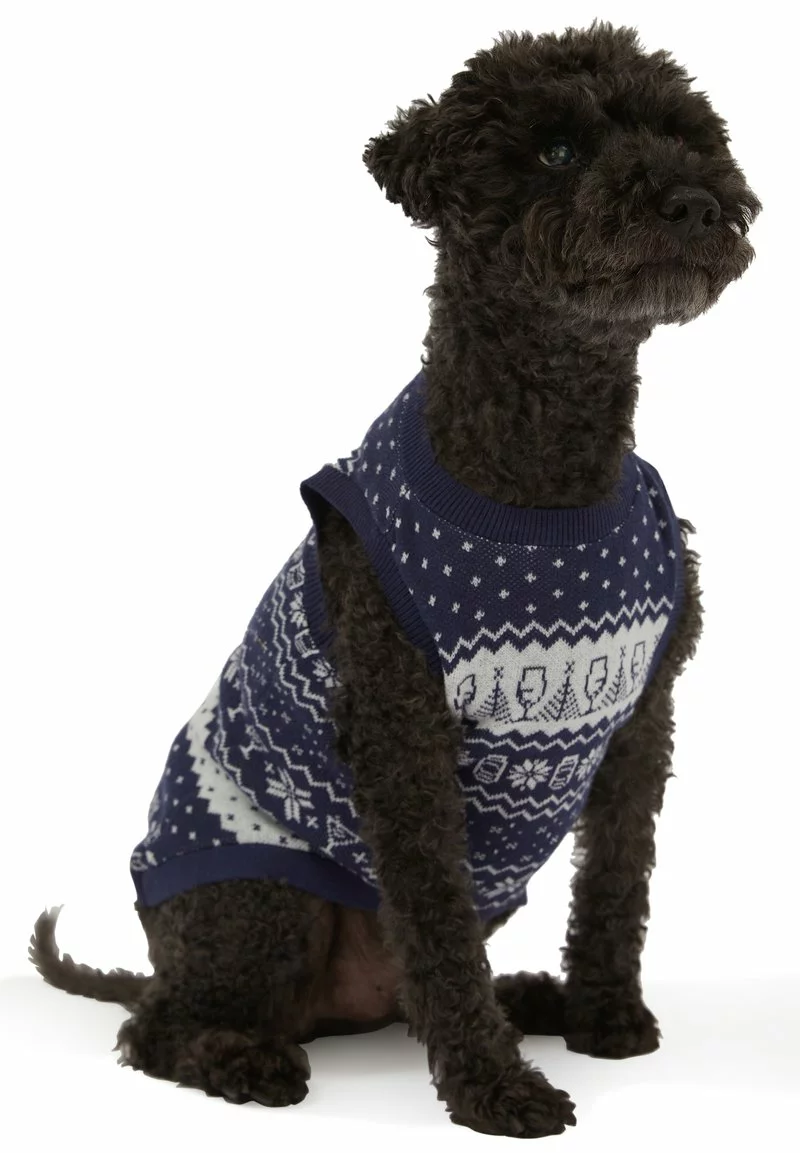 COTTON ON CLUB DOG XMAS - Tierbedarf - Navy 5 COTTON ON CLUB DOG XMAS - Tierbedarf - Navy - Image 5