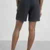 Seasalt Cornwall PENDERLEITH - Shorts - Maritime